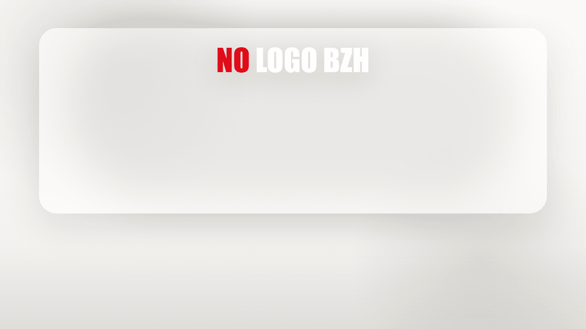 Logo officiel No Logo BZH en grand format