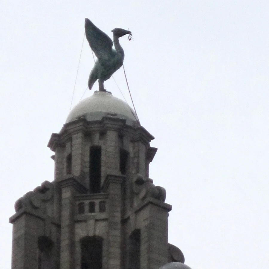 Statue du Liver bird au sommet du Royal Liver Building sur le port de Liverpool