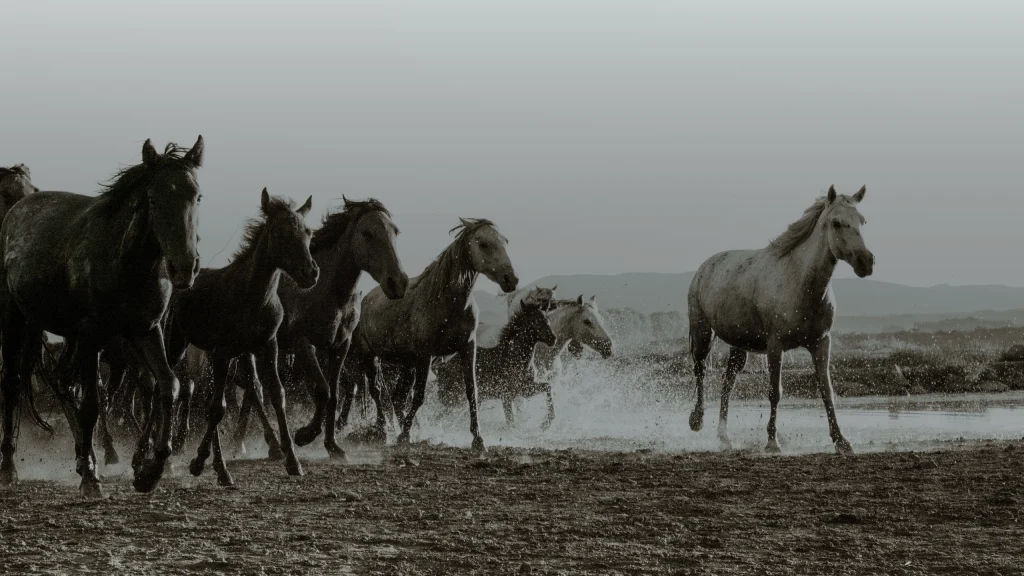 Marques avec un cheval dans le logo : 6 origines à connaître