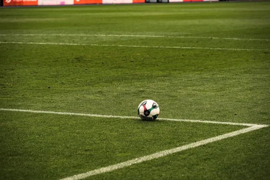 Ballon de football posé sur la ligne d'un terrain de pelouse
