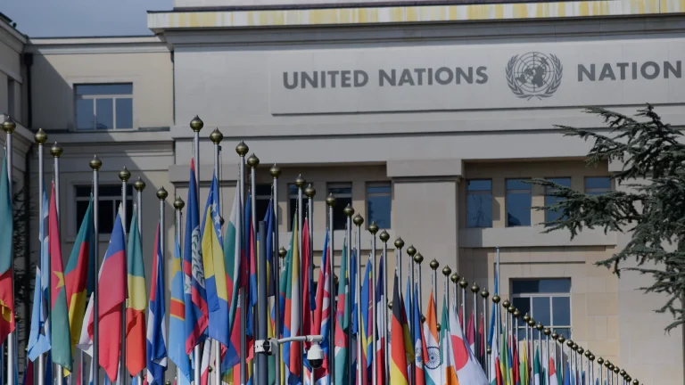 Logo de l'ONU : ce que montre l'emblème bleu et blanc